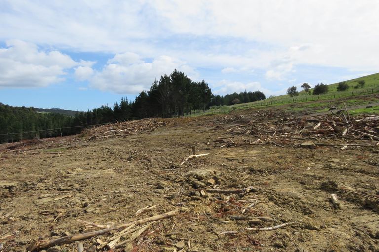 Photo of property in 2770 State Highway 10, Mangonui, 0494