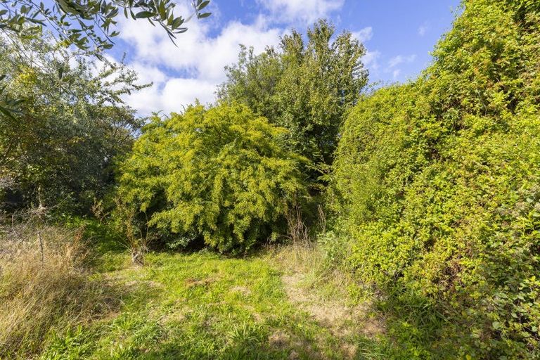 Photo of property in 21 Duncan Street, Taupo, 3330