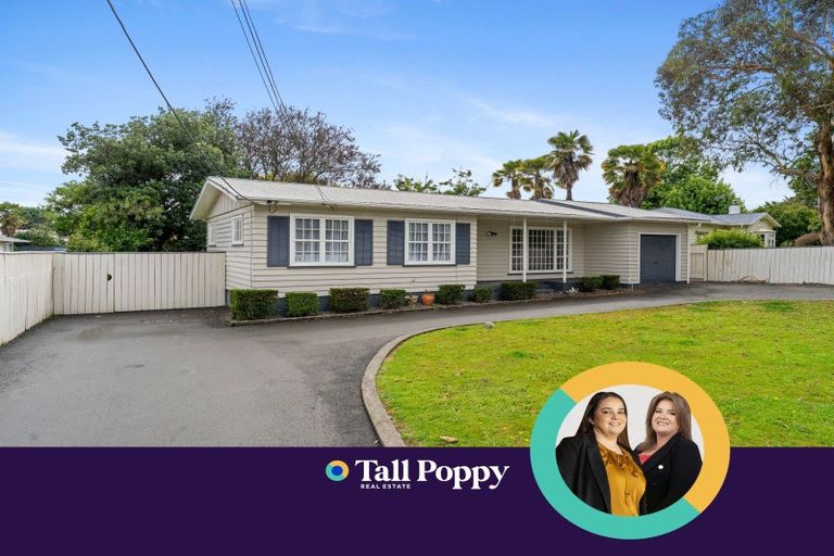 Photo of property in 39 Macarthur Street, Levin, 5510