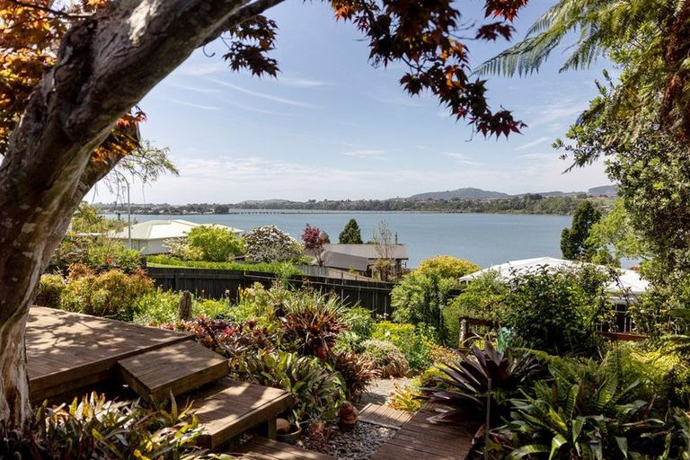 Photo of property in 53 Hampton Terrace, Parkvale, Tauranga, 3112