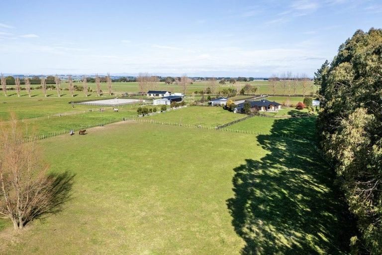 Photo of property in 255 Calico Line, Marton, 4787