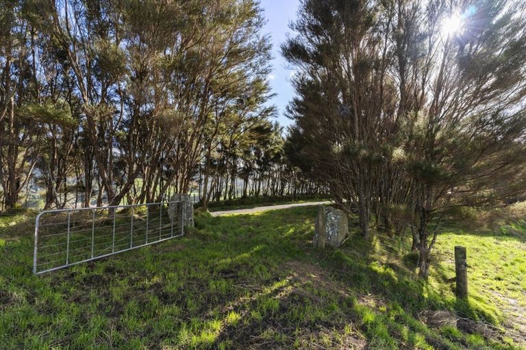 Photo of property in 309c Wentworth Valley Road, Whangamata, 3691
