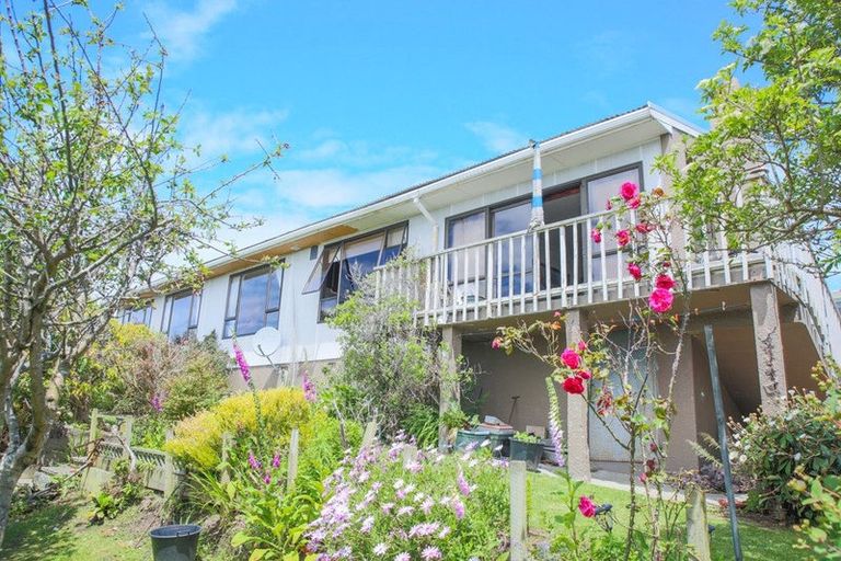 Photo of property in 46 Walker Street, Bluff, 9814
