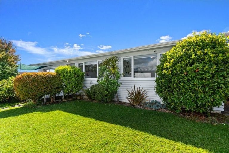 Photo of property in 13a Nikau Street, New Lynn, Auckland, 0600