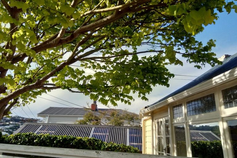 Photo of property in 77 Nairn Street, Mount Cook, Wellington, 6011