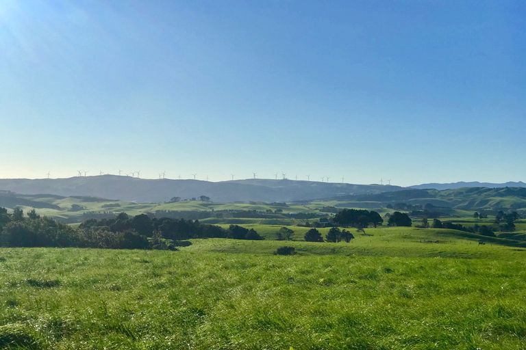 Photo of property in 669b Te Hutewai Road, Raglan, 3296