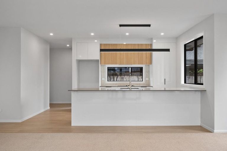 Photo of property in 10 Limbrick Street, Terrace End, Palmerston North, 4410