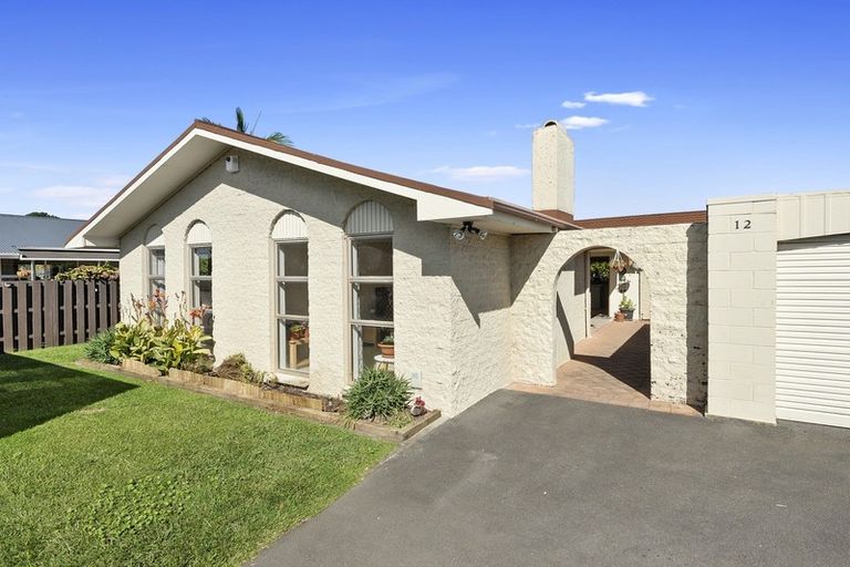 Photo of property in 12 Chequers Avenue, Chartwell, Hamilton, 3210