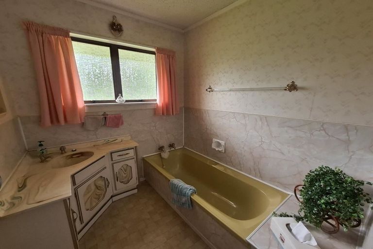 Photo of property in 45 The Avenue, Levin, 5510