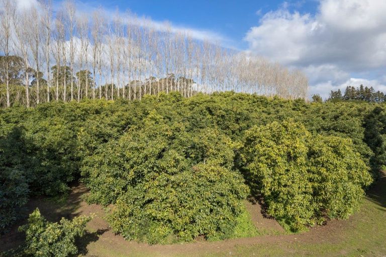 Photo of property in 308 Athenree Road, Athenree, Katikati, 3177