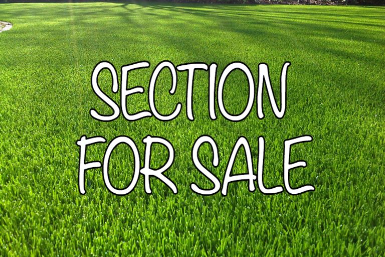 Photo of property in 11 Nerehana Place, Red Beach, 0932