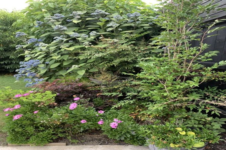 Photo of property in 4 Mary Place, Pyes Pa, Tauranga, 3112