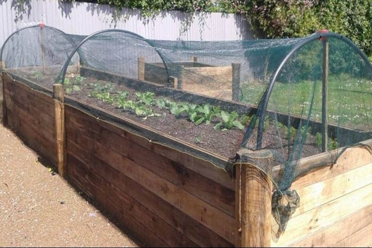 Photo of property in 42 Jellicoe Avenue, Tuakau, 2121