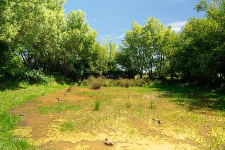 Photo of property in 459 Flora East, Makarewa, Invercargill, 9876