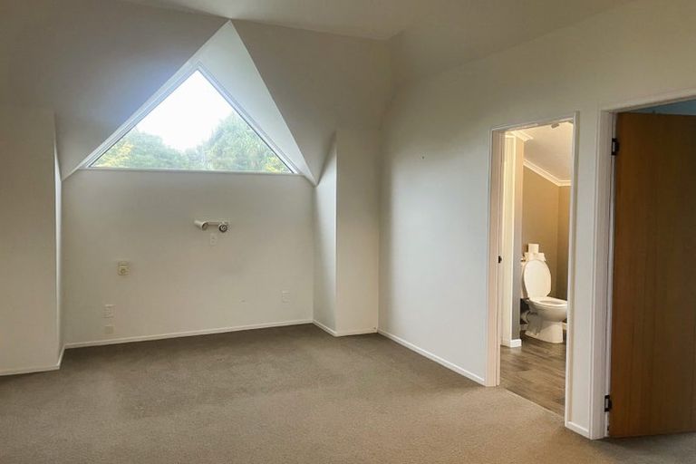 Photo of property in 119a Maxwells Line, Awapuni, Palmerston North, 4412