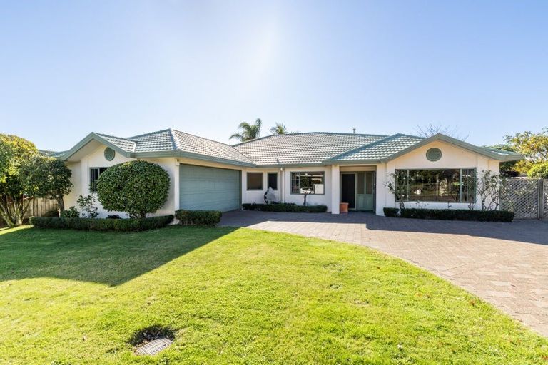 Photo of property in 19 Kingsgate Avenue, Havelock North, 4130