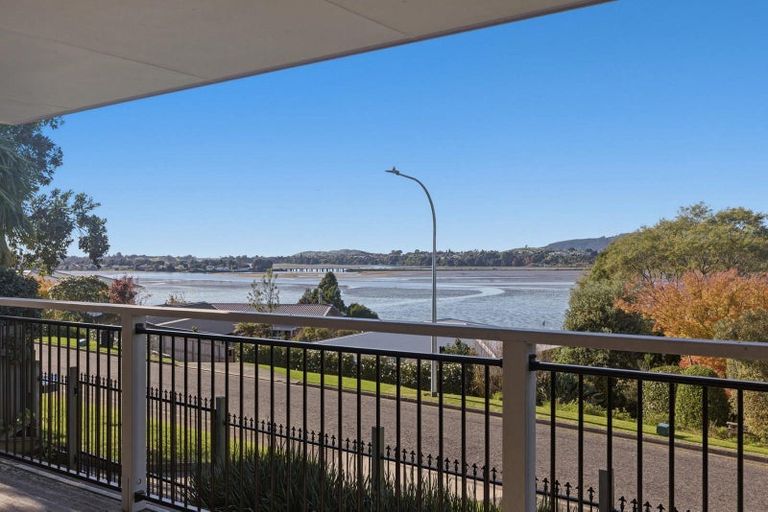 Photo of property in 51 Hampton Terrace, Parkvale, Tauranga, 3112