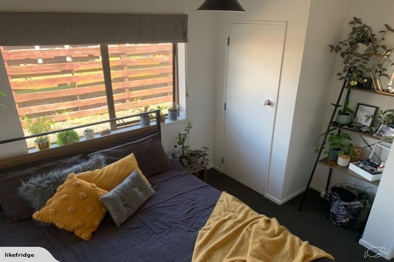 Photo of property in 14a Bain Street, Mount Maunganui, 3116