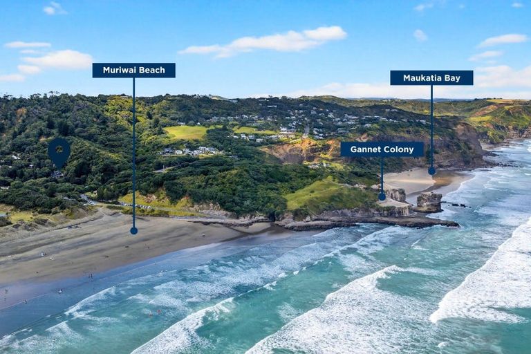 Photo of property in 10 Waitea Road, Muriwai, Waimauku, 0881