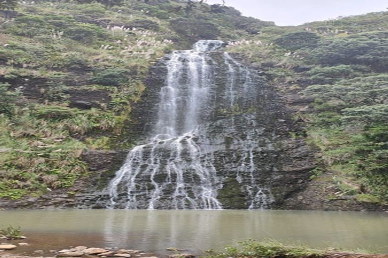 Photo of property in 126 Lone Kauri Road, Karekare, Auckland, 0772