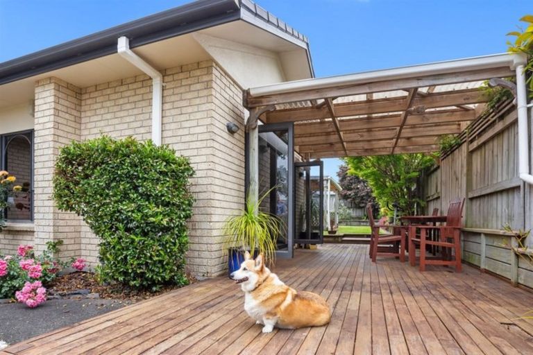 Photo of property in 11 Kopu Drive, Pyes Pa, Tauranga, 3112