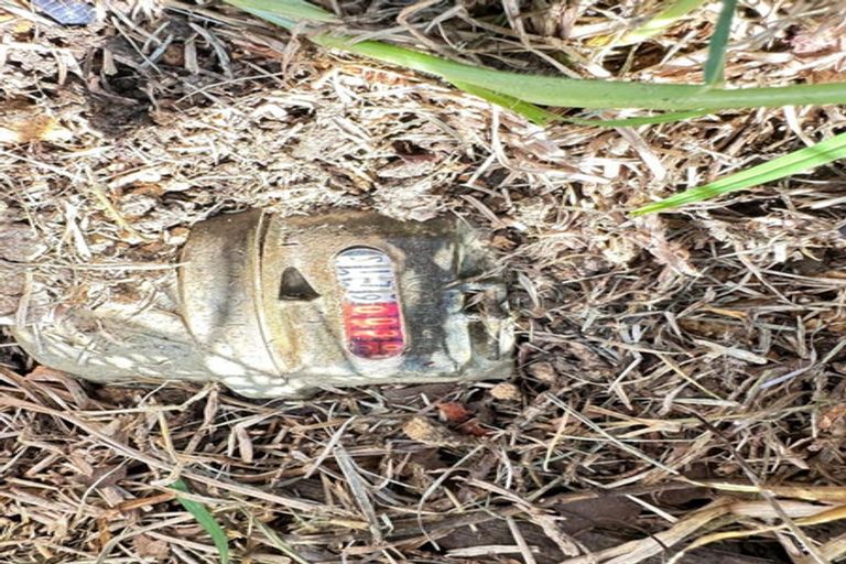 Photo of property in 60 Hewlett Road, Massey, Auckland, 0614