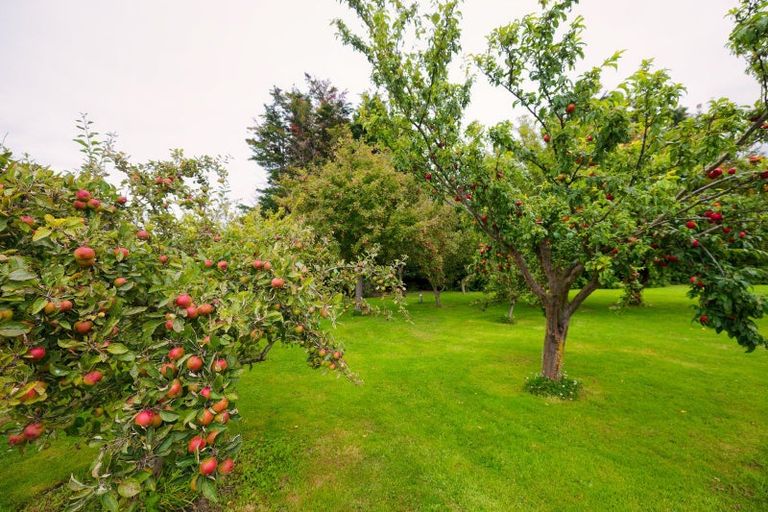 Photo of property in 25 State Highway 1, Kaikoura Flat, Kaikoura, 7371