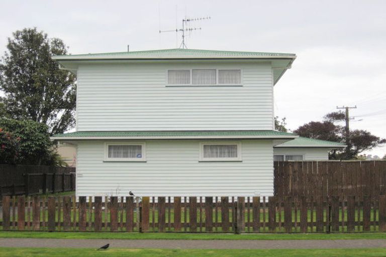 Photo of property in 127 Tiro Tiro Road, Levin, 5510