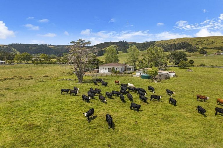 Photo of property in 1313 Whangaripo Valley Road, Whangaripo, Wellsford, 0972