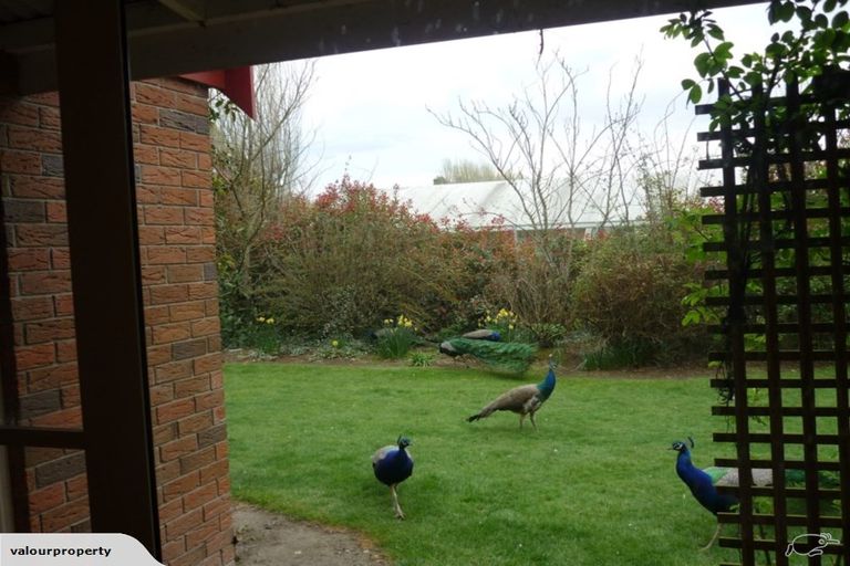 Photo of property in 426 Sawyers Arms Road, Harewood, Christchurch, 8051