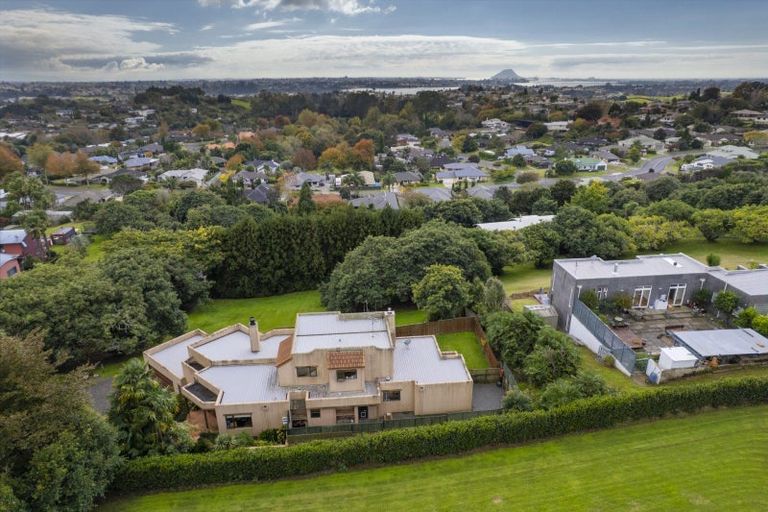 Photo of property in 10 Zapote Place, Ohauiti, Tauranga, 3112
