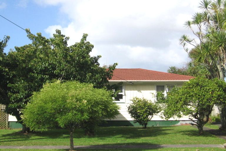 Photo of property in 105 Rathgar Road, Henderson, Auckland, 0610