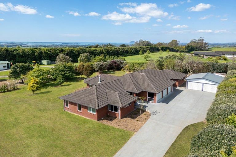 Photo of property in 407 Youngson Road, Whakamarama, Tauranga, 3179