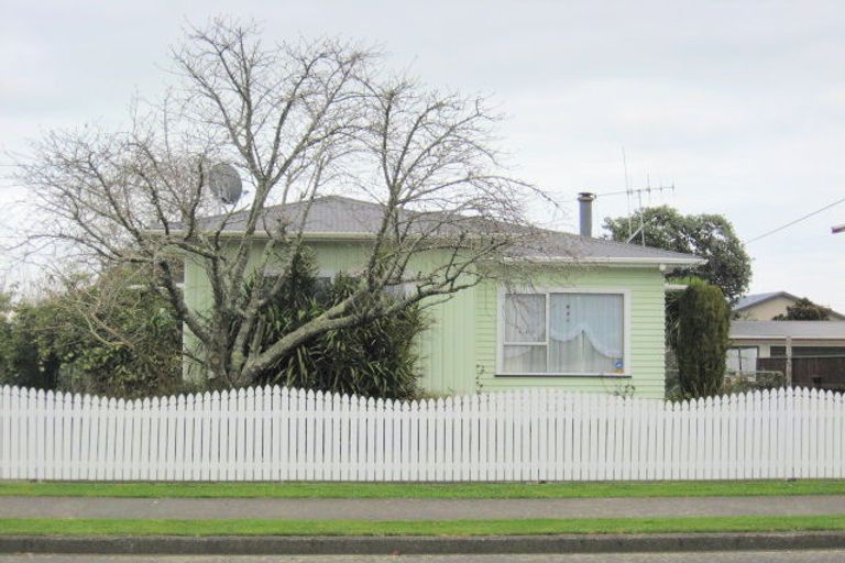 Photo of property in 123-125 Tiro Tiro Road, Levin, 5510