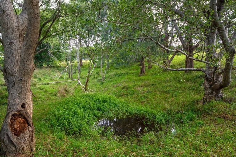 Photo of property in 12 Whitehills Road, Waitoki, Silverdale, 0994