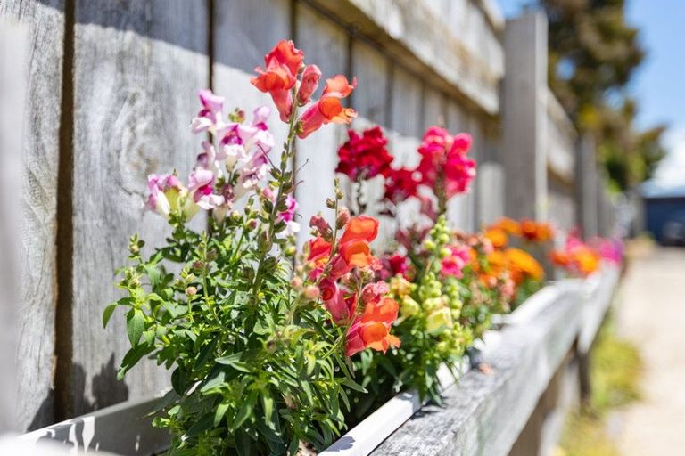 Photo of property in 86 Mcgarvey Road, Whakatane, 3120