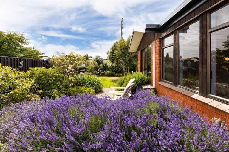 Photo of property in 17 Murphys Road, Springlands, Blenheim, 7201