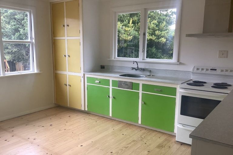 Photo of property in 6 Smith Street, Roxburgh, 9500