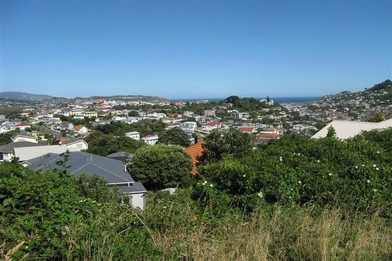 Photo of property in 121 Rakau Road, Hataitai, Wellington, 6021