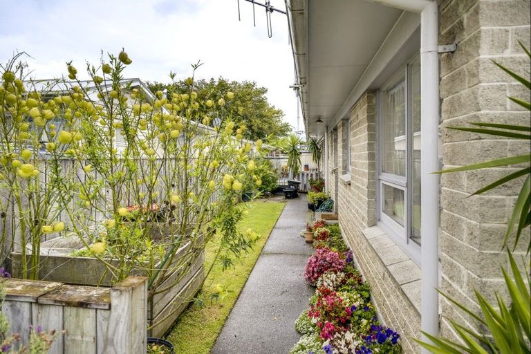 Photo of property in 1/1 Arnold Street, Onekawa, Napier, 4110