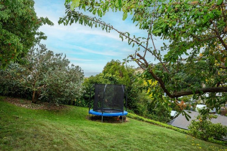 Photo of property in 78 Milton Road, Bluff Hill, Napier, 4110