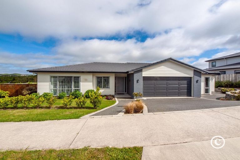 Photo of property in 1 Stony Hill Place, Grenada Village, Wellington, 6037