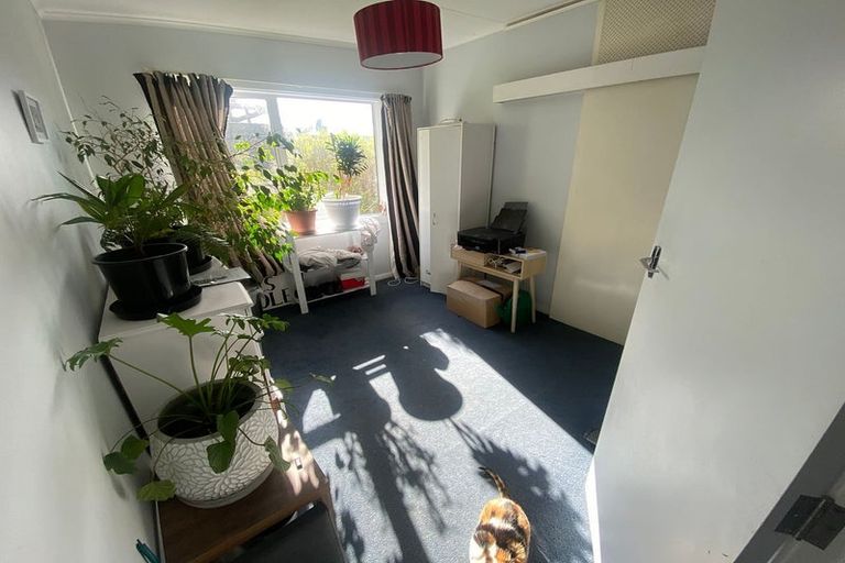 Photo of property in 17b Marewa Road, Hataitai, Wellington, 6021