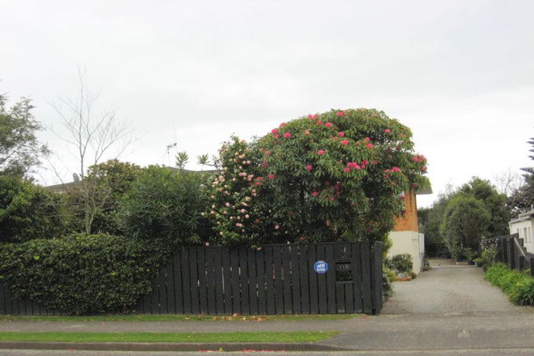 Photo of property in 115 Tiro Tiro Road, Levin, 5510