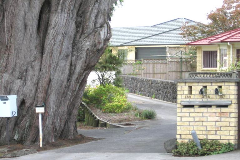 Photo of property in 139 Flanshaw Road, Te Atatu South, Auckland, 0610