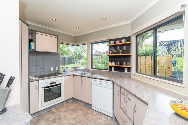 Photo of property in 51 Sunnyhills Avenue, Glenview, Hamilton, 3206