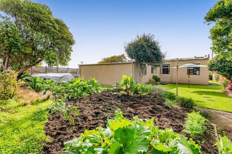 Photo of property in 8 Skinner Street, Blagdon, New Plymouth, 4310