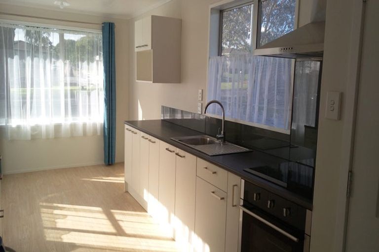 Photo of property in 325 Roscommon Road, Clendon Park, Auckland, 2103