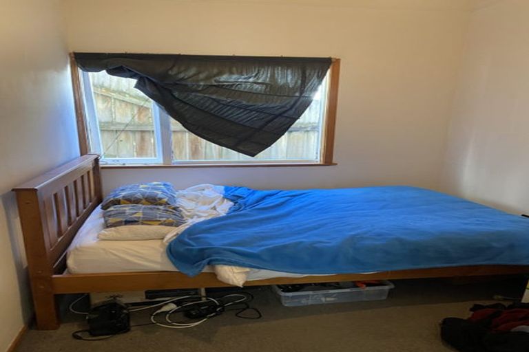 Photo of property in 81a Hamilton Road, Hataitai, Wellington, 6021