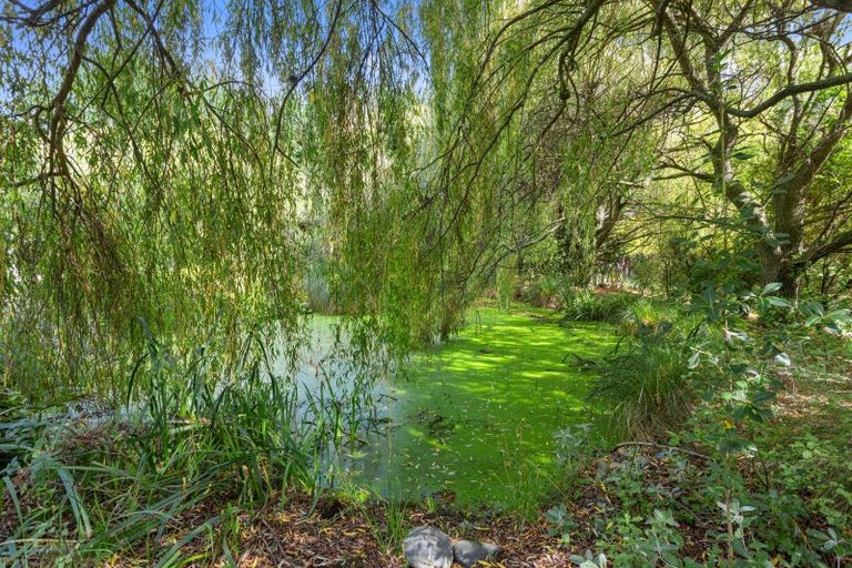 Photo of property in 117 Kennedys Hill Road, Fernside, Rangiora, 7471